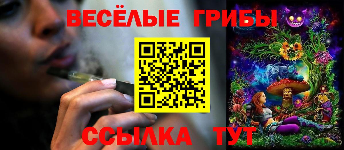 Псилоцибиновые грибы GOLDEN TEACHER Чусовой