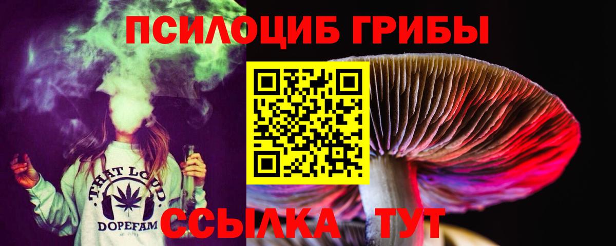 Псилоцибиновые грибы Psilocybine cubensis  Вход с VPN  купить наркоту  Чусовой  Галлюциногенные грибы прущие грибы 